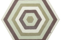 MT-100 HEXAGON